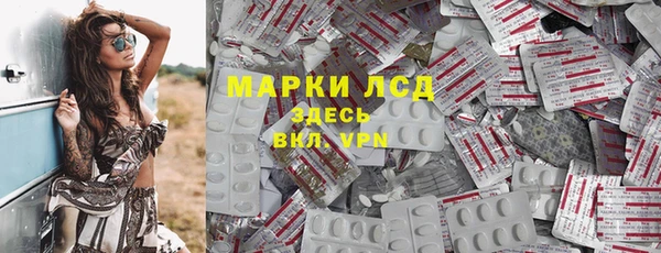 стаф Надым