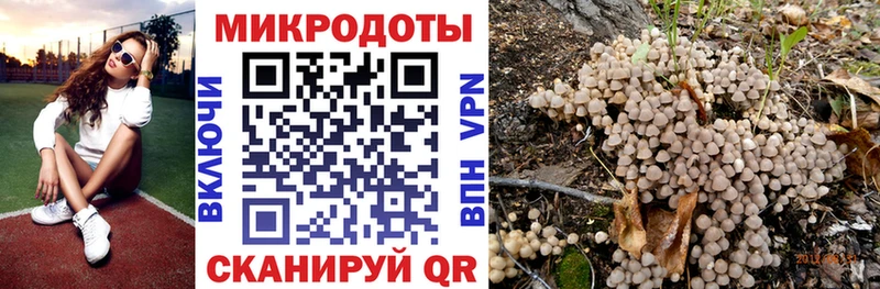 купить  цена  Семикаракорск  Галлюциногенные грибы мицелий 